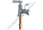 Chicago 748-244CP Bubbler