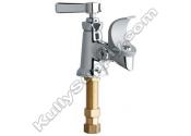 Chicago 748-244FHCP Bubbler