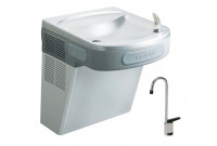Elkay EZS8SF Stainless Steel Drinking Fountain with Glass Filler