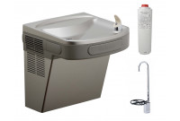 Elkay LZS8LF Stainless Steel Filtered Drinking Fountain with Glass Filler