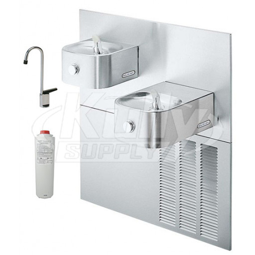 Elkay LNTEM8FK Filtered In-Wall Dual Drinking Fountain with Glass Filler