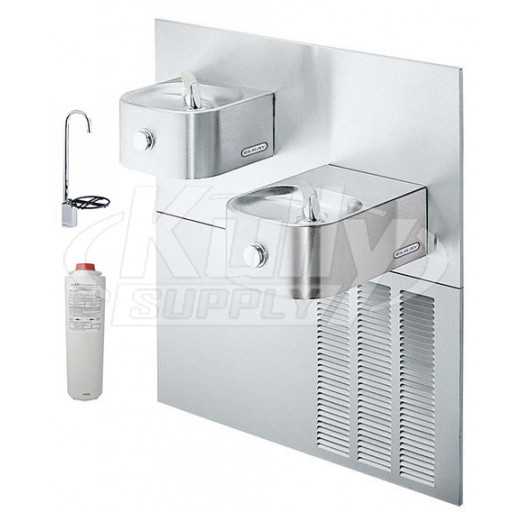 Elkay LNTEM8FK Filtered In-Wall Dual Drinking Fountain with Glass Filler