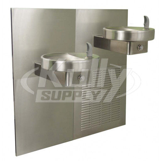 Oasis M8CR In-Wall Dual Drinking Fountain