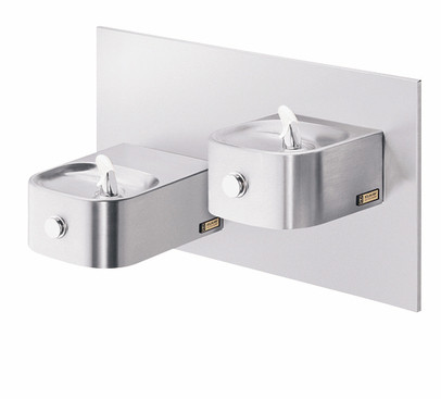 Elkay EDFP217FPRAK Freeze Resistant, NON-REFRIGERATED In-Wall Dual Drinking Fountain with Vandal-Resistant Bubbler