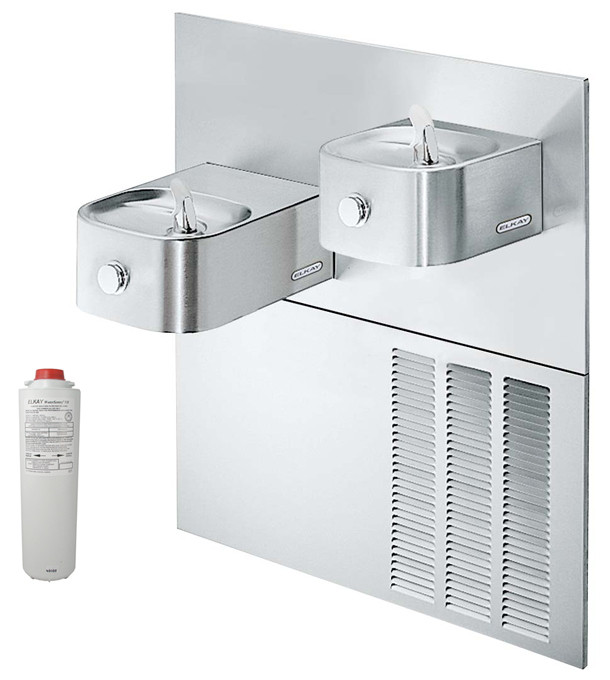 Elkay LNTEM8RAK Filtered In-Wall Dual Drinking Fountain