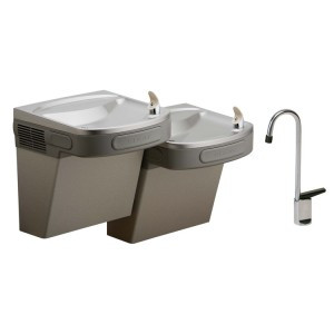 Elkay EZSTLDDLFC NON-REFRIGERATED Dual Drinking Fountain with Glass Filler