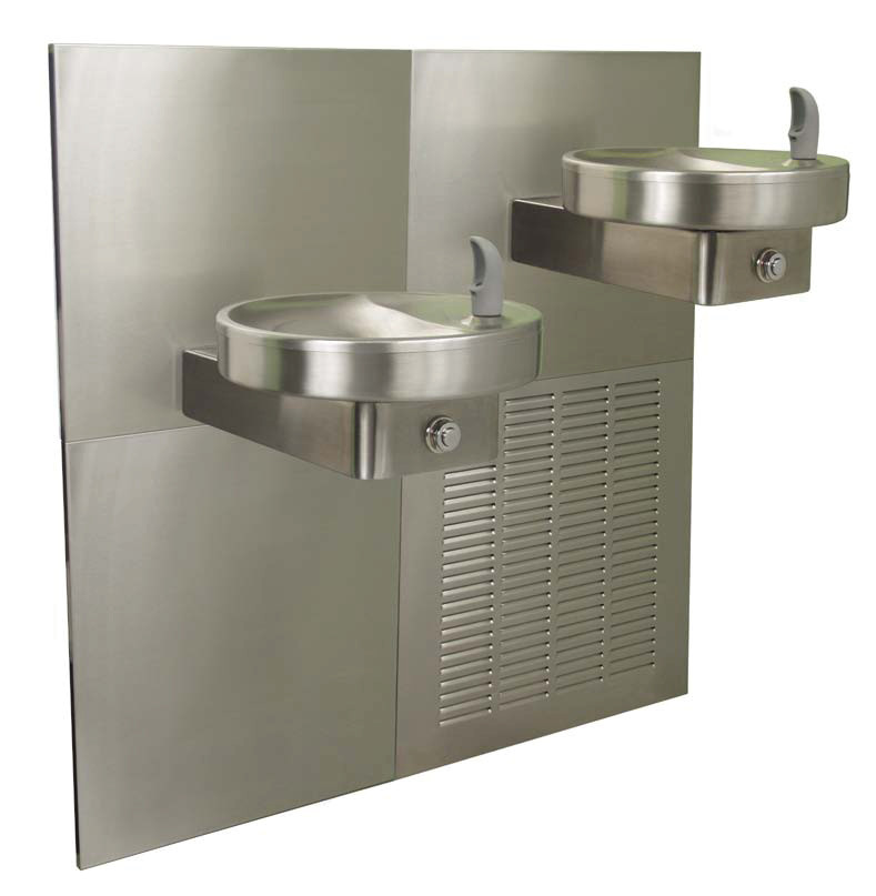 Oasis M8CR In-Wall Dual Drinking Fountain