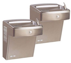 Oasis PV8ACSL Vandal-Resistant Dual Drinking Fountain (Discontinued)