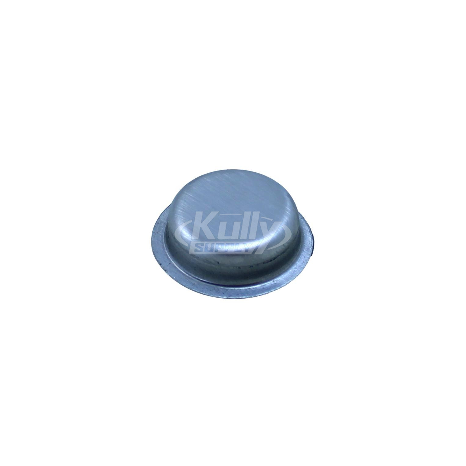 Oasis 024779-004 Push Button
