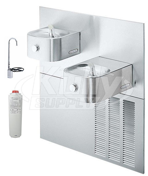 Elkay LNTEM8FK Filtered In-Wall Dual Drinking Fountain with Glass Filler