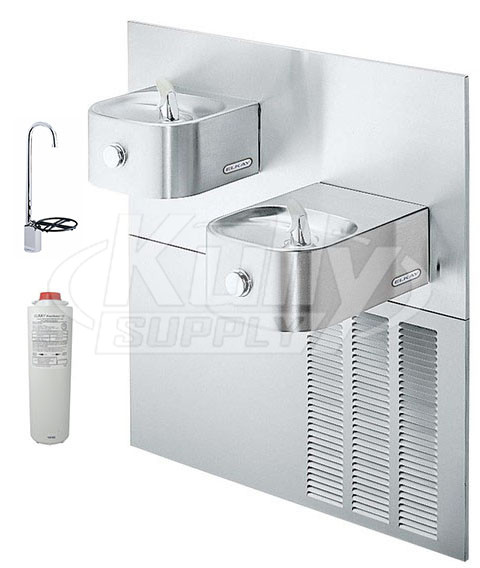 Elkay LNTE8FK Filtered In-Wall Dual Drinking Fountain with Glass Filler