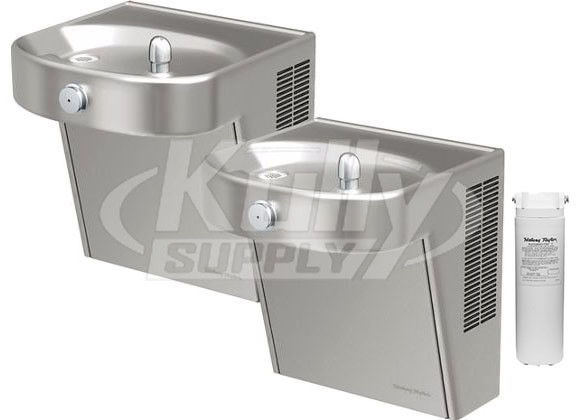 Halsey Taylor HVR8HDBL-WF Filtered Heavy Duty Vandal-Resistant Dual Drinking Fountain