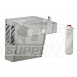 Elkay LVRC8S Filtered Vandal-Resistant Drinking Fountain