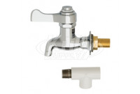 Haws 6250LF Self-Closing Bib Faucet