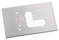 Haws BP3 Back Panel Satin Stainless Steel