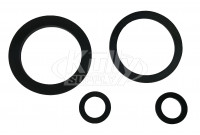 Elkay 98677C Gasket