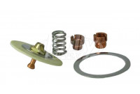 Halsey Taylor 60-08050-51-550 Diaphragm Repair Kit