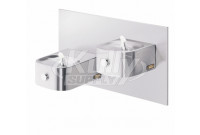 Elkay EDFP217FPRAK Freeze Resistant, NON-REFRIGERATED In-Wall Dual Drinking Fountain with Vandal-Resistant Bubbler