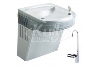 Elkay EZSDSF Stainless Steel NON-REFRIGERATED Drinking Fountain with Glass Filler