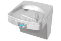 Oasis PG8ACT Stainless Steel Sensor-Operated Drinking Fountain