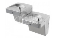 Oasis PGV8ACSL-14G Vandal-Resistant Dual Drinking Fountain