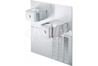 Elkay ERFP28K In-Wall Dual Drinking Fountain